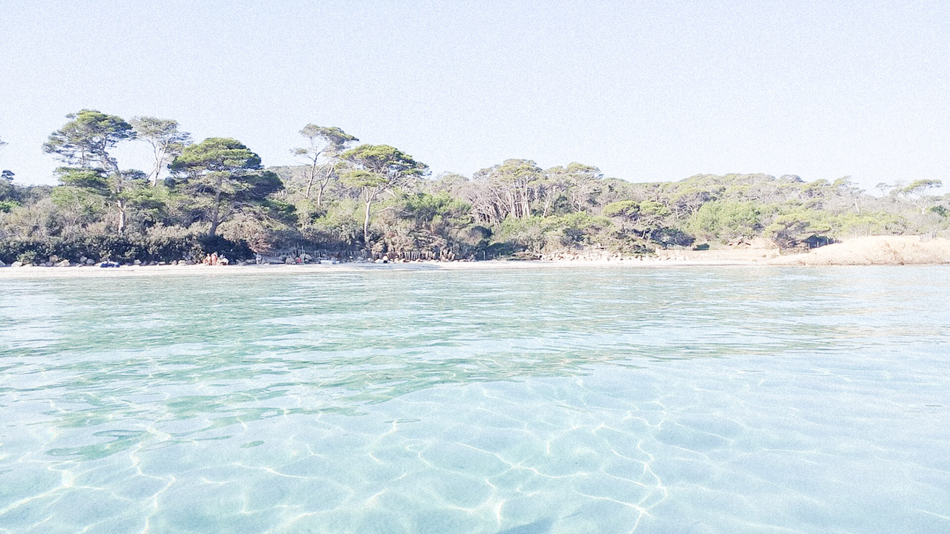 L’île de Porquerolles : un joyau au cœur de la méditerranée